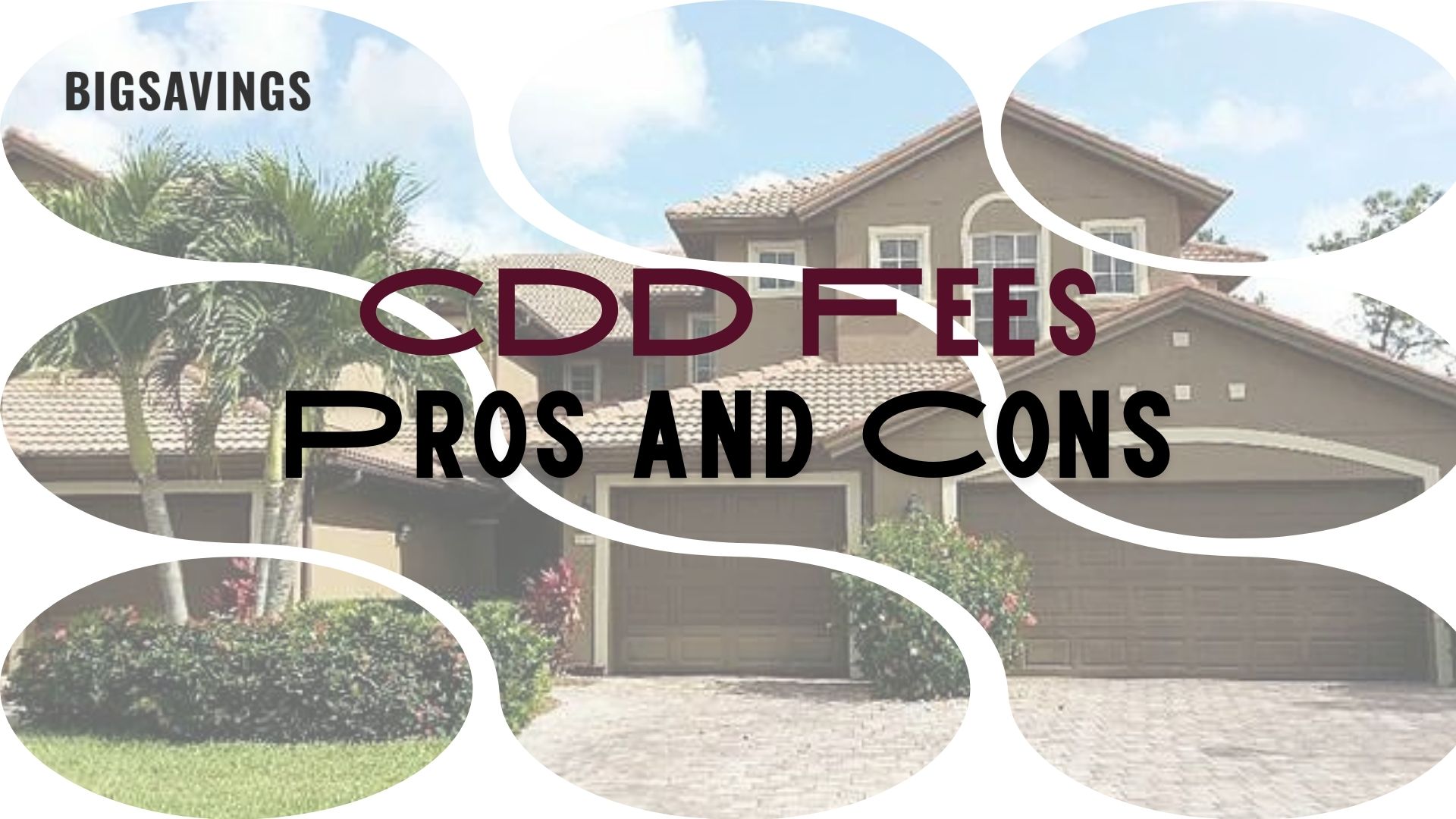 CDD Fees Pros and Cons